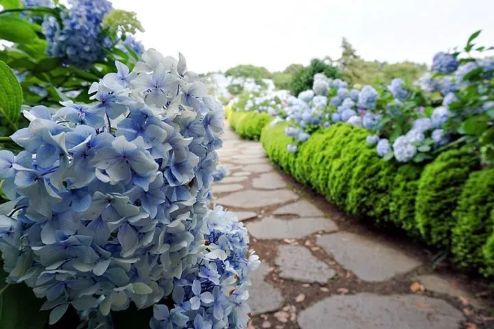 Enchanting Jeju: A Two-Day Island Adventure 741ic6